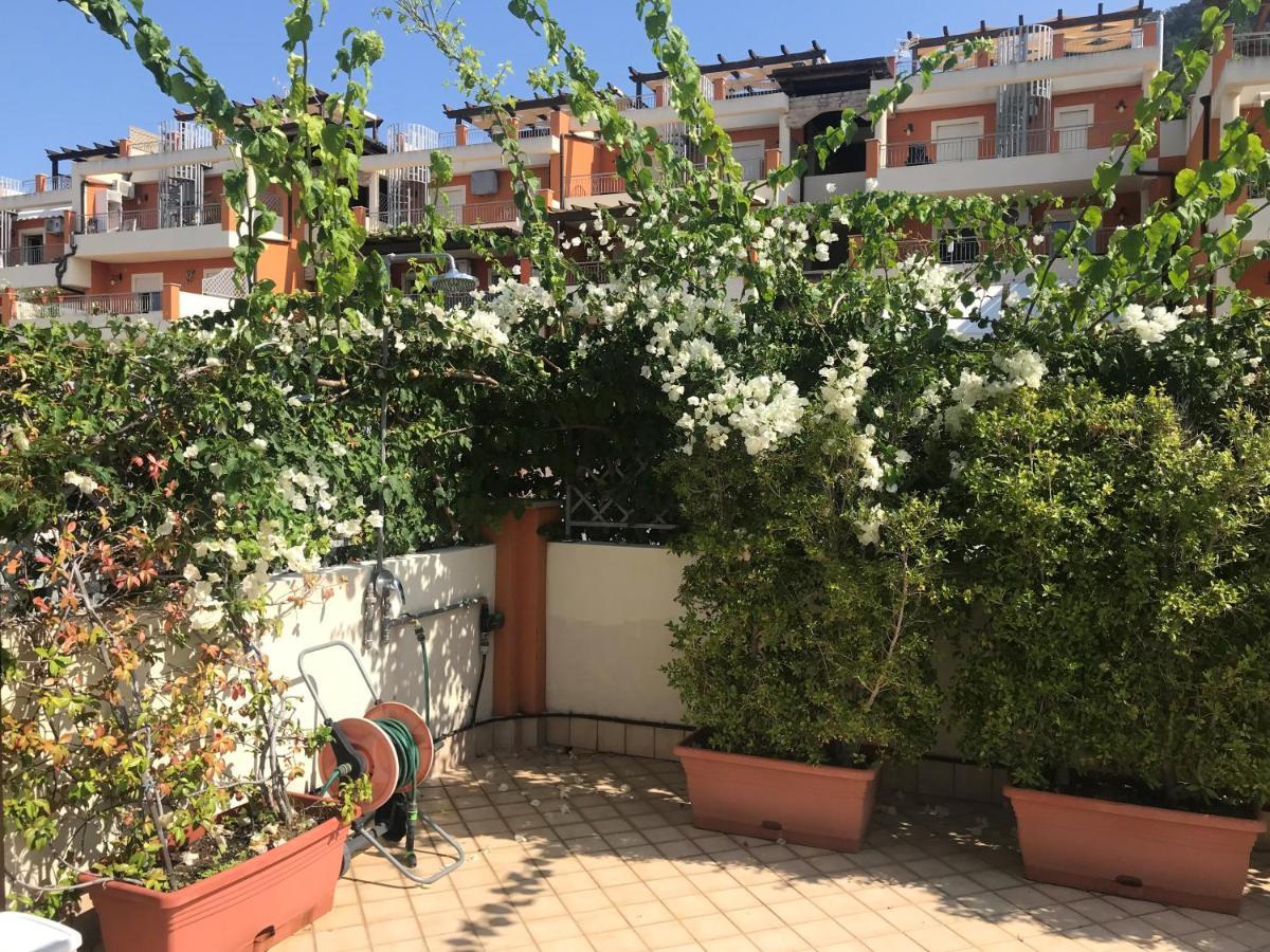 Casa Norvegese Daire Pizzo  Dış mekan fotoğraf